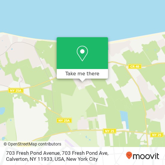 Mapa de 703 Fresh Pond Avenue, 703 Fresh Pond Ave, Calverton, NY 11933, USA