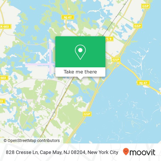 828 Cresse Ln, Cape May, NJ 08204 map
