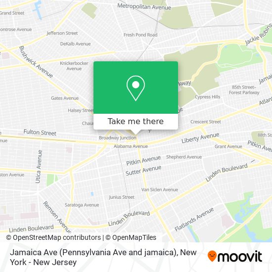 Jamaica Ave (Pennsylvania Ave and jamaica) map