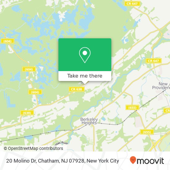 20 Molino Dr, Chatham, NJ 07928 map