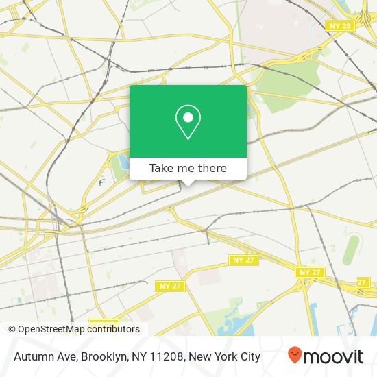 Mapa de Autumn Ave, Brooklyn, NY 11208