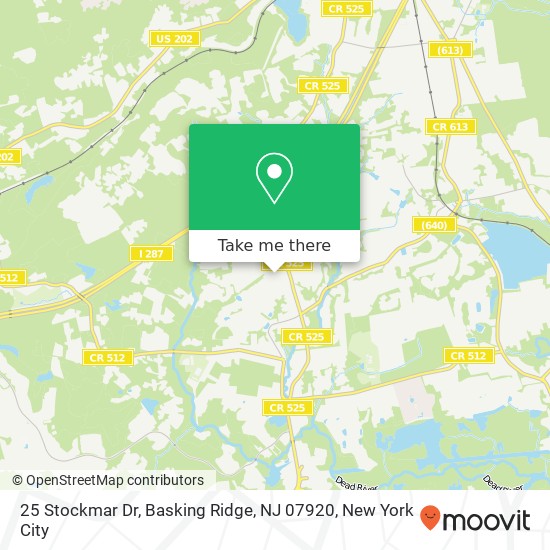 25 Stockmar Dr, Basking Ridge, NJ 07920 map