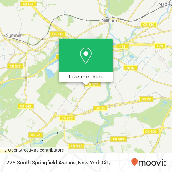 Mapa de 225 South Springfield Avenue, 225 S Springfield Ave, Springfield Township, NJ 07081, USA
