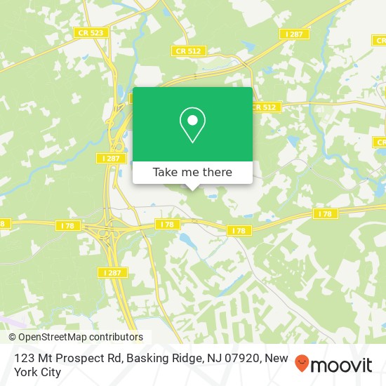 123 Mt Prospect Rd, Basking Ridge, NJ 07920 map