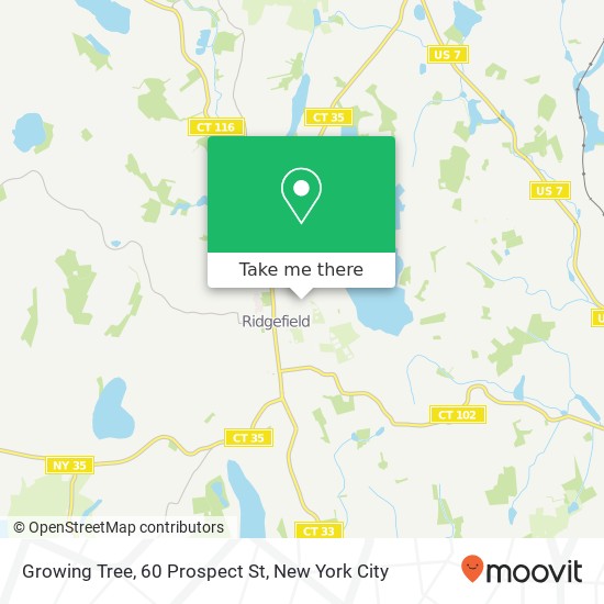 Mapa de Growing Tree, 60 Prospect St