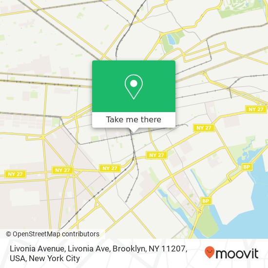 Livonia Avenue, Livonia Ave, Brooklyn, NY 11207, USA map