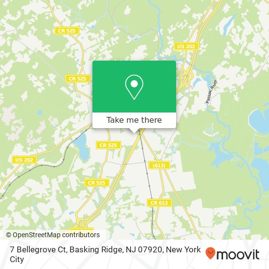 Mapa de 7 Bellegrove Ct, Basking Ridge, NJ 07920