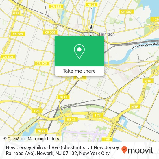 New Jersey Railroad Ave (chestnut st at New Jersey Railroad Ave), Newark, NJ 07102 map