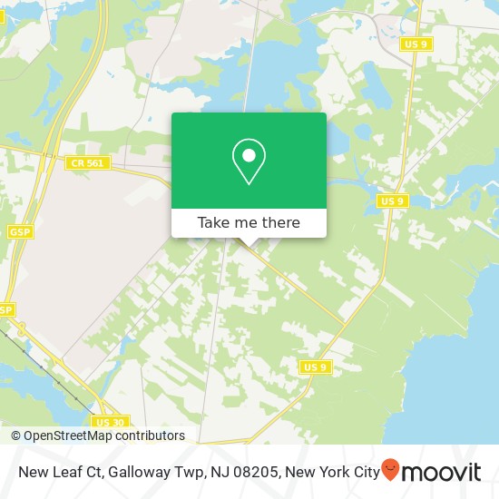Mapa de New Leaf Ct, Galloway Twp, NJ 08205
