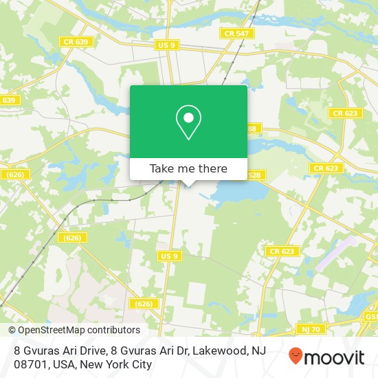 Mapa de 8 Gvuras Ari Drive, 8 Gvuras Ari Dr, Lakewood, NJ 08701, USA