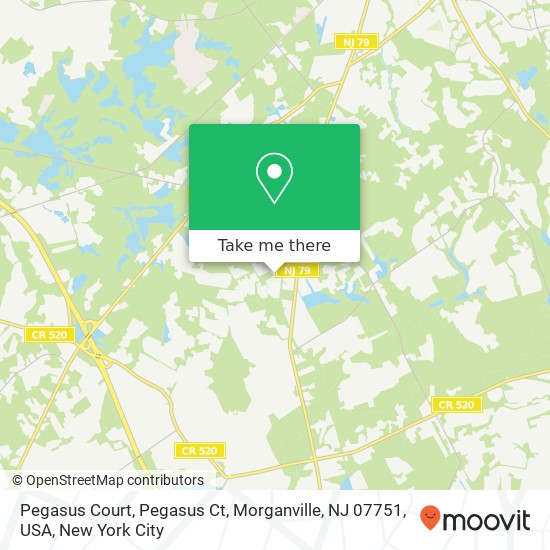 Pegasus Court, Pegasus Ct, Morganville, NJ 07751, USA map