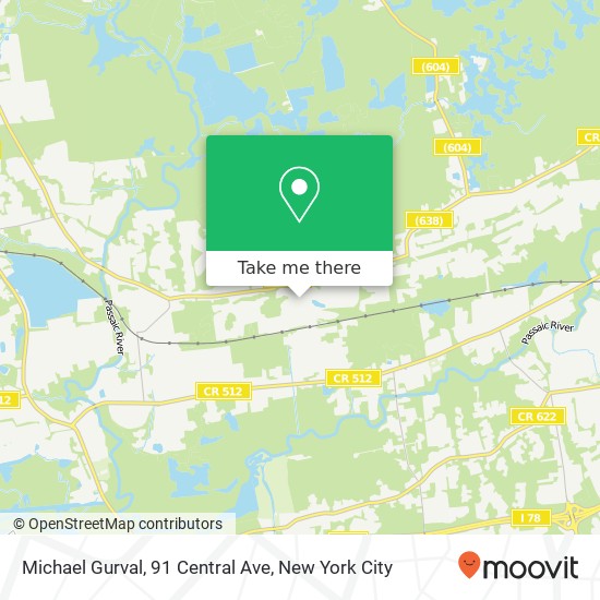 Mapa de Michael Gurval, 91 Central Ave