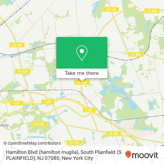Hamilton Blvd (hamilton muglia), South Plainfield (S PLAINFIELD), NJ 07080 map