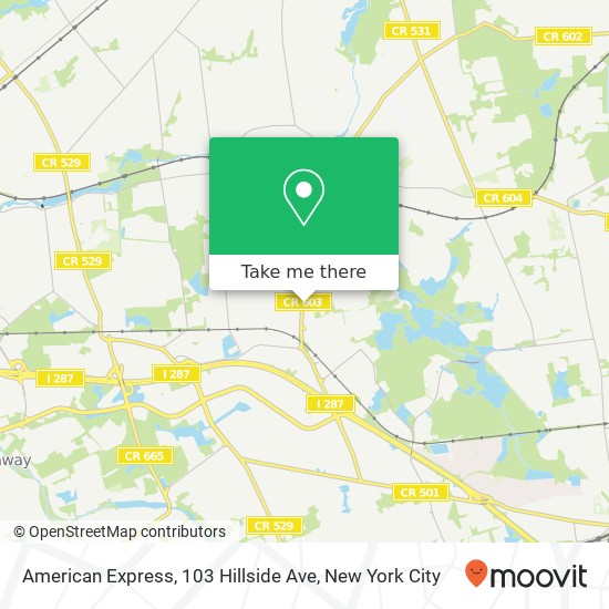American Express, 103 Hillside Ave map