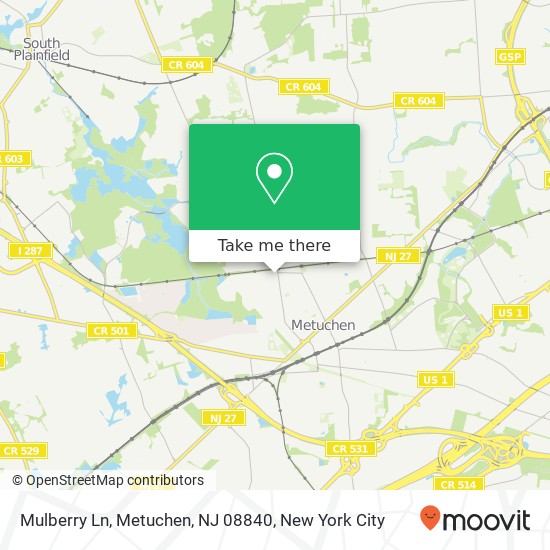 Mulberry Ln, Metuchen, NJ 08840 map