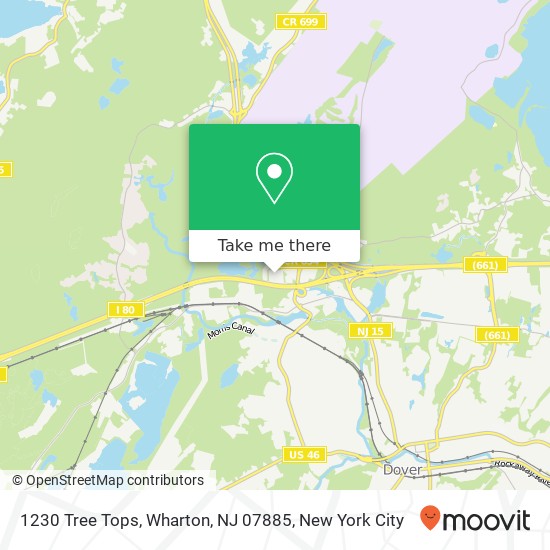 1230 Tree Tops, Wharton, NJ 07885 map