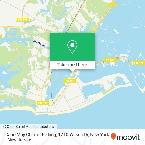 Mapa de Cape May Charter Fishing, 1210 Wilson Dr