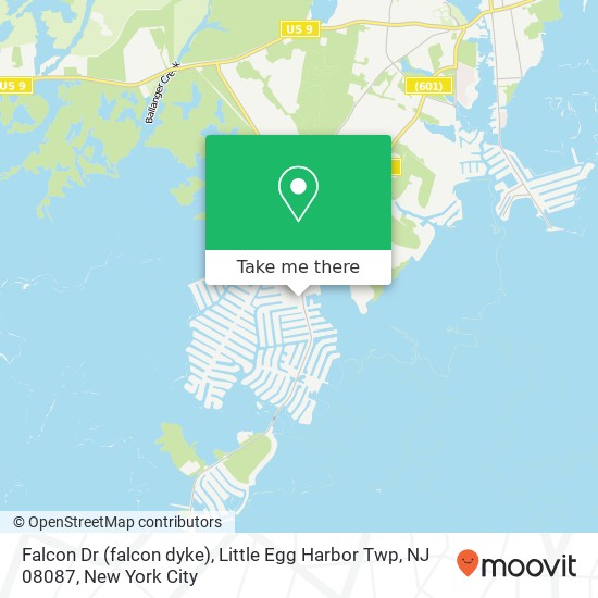 Mapa de Falcon Dr (falcon dyke), Little Egg Harbor Twp, NJ 08087