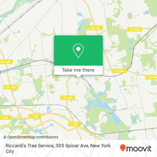 Mapa de Riccardi's Tree Service, 305 Spicer Ave