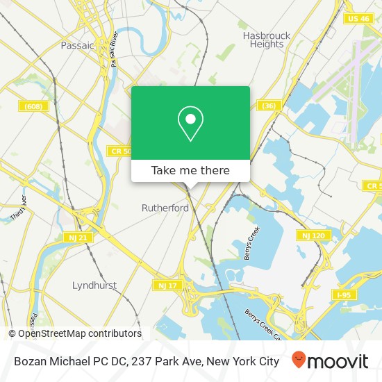 Bozan Michael PC DC, 237 Park Ave map