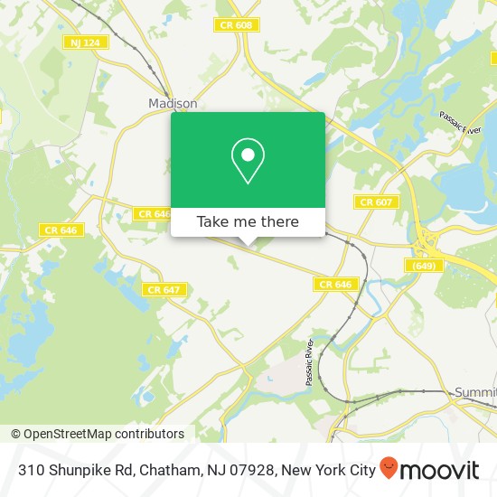 Mapa de 310 Shunpike Rd, Chatham, NJ 07928