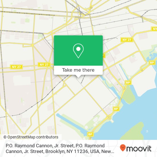 Mapa de P.O. Raymond Cannon, Jr. Street, P.O. Raymond Cannon, Jr. Street, Brooklyn, NY 11236, USA