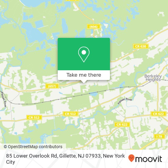 85 Lower Overlook Rd, Gillette, NJ 07933 map