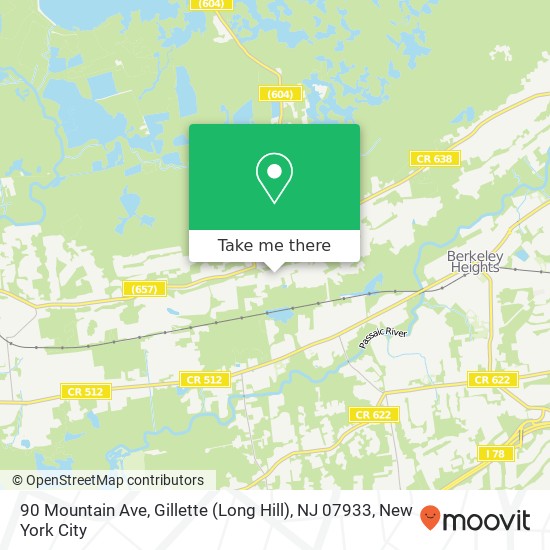 Mapa de 90 Mountain Ave, Gillette (Long Hill), NJ 07933