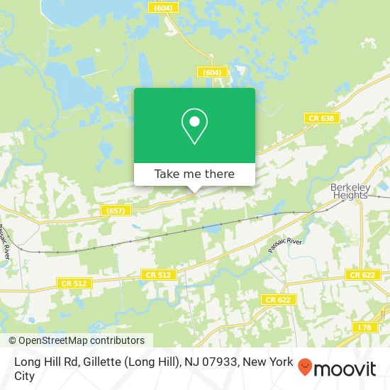 Mapa de Long Hill Rd, Gillette (Long Hill), NJ 07933