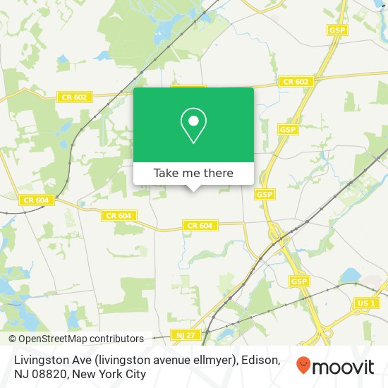 Livingston Ave (livingston avenue ellmyer), Edison, NJ 08820 map