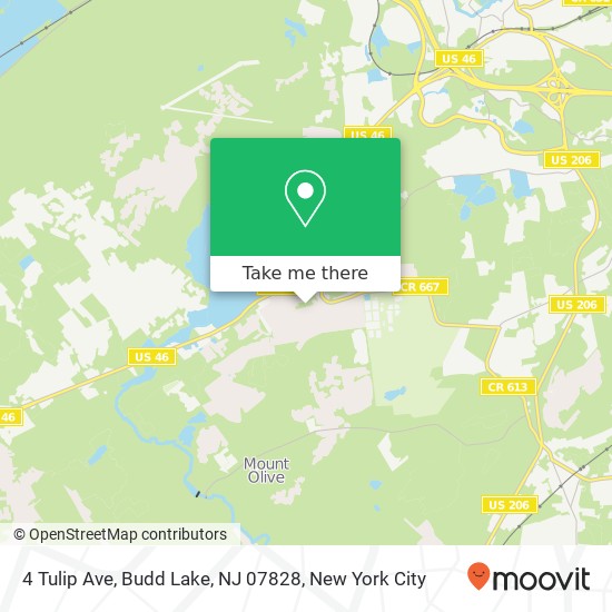Mapa de 4 Tulip Ave, Budd Lake, NJ 07828