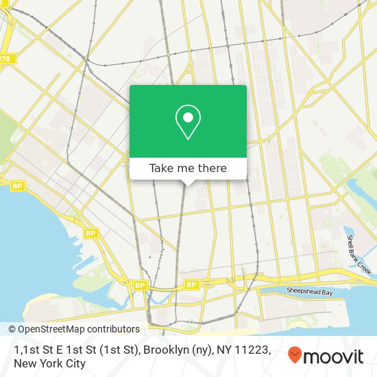 1,1st St E 1st St (1st St), Brooklyn (ny), NY 11223 map