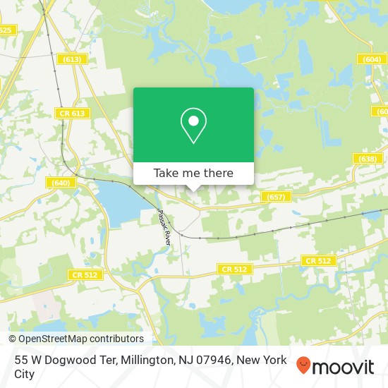 Mapa de 55 W Dogwood Ter, Millington, NJ 07946