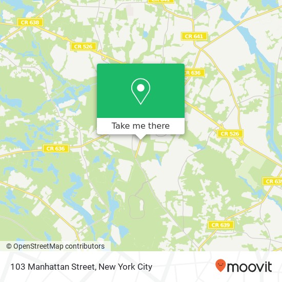 Mapa de 103 Manhattan Street