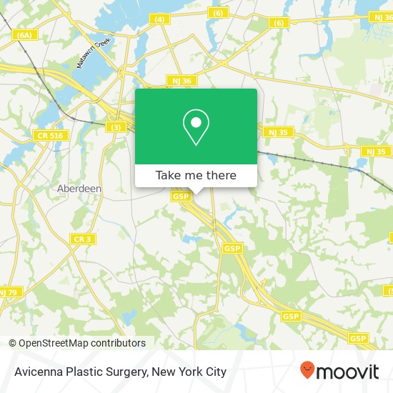 Avicenna Plastic Surgery, 721 N Beers St map