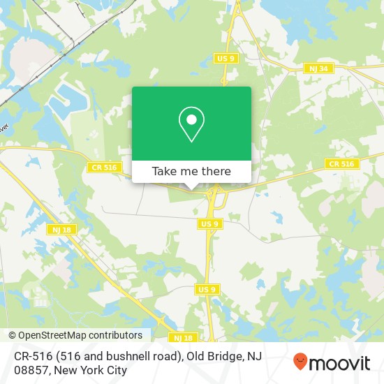 CR-516 (516 and bushnell road), Old Bridge, NJ 08857 map