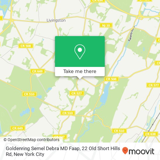 Goldenring Semel Debra MD Faap, 22 Old Short Hills Rd map