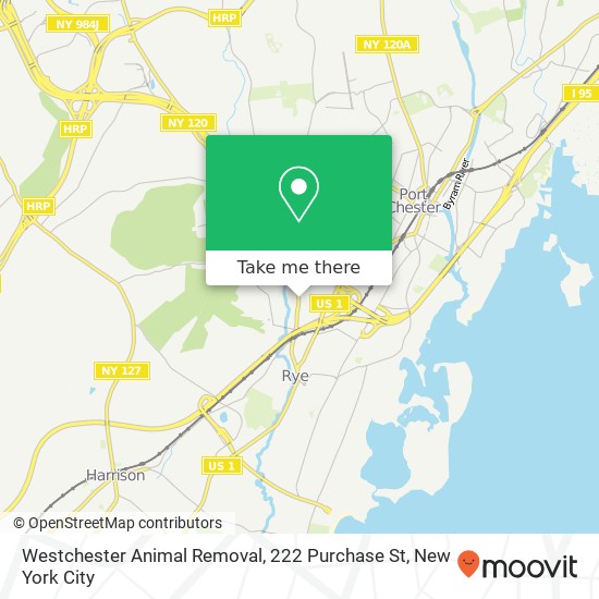 Westchester Animal Removal, 222 Purchase St map