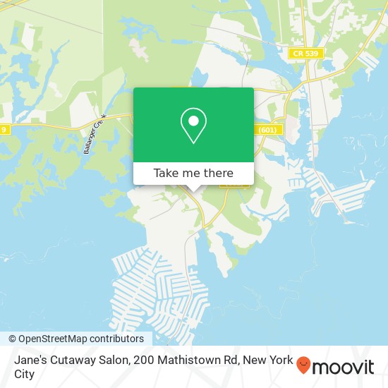 Mapa de Jane's Cutaway Salon, 200 Mathistown Rd