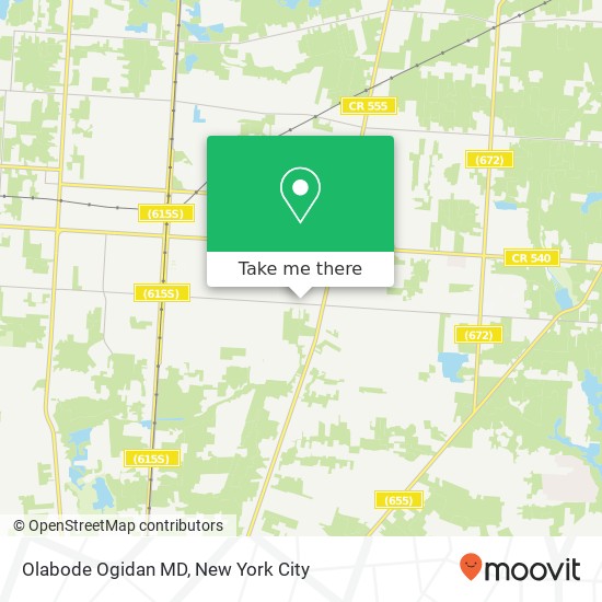 Olabode Ogidan MD, 1138 E Chestnut Ave map