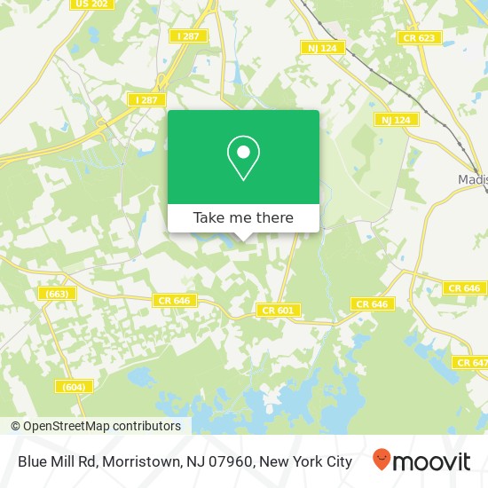 Mapa de Blue Mill Rd, Morristown, NJ 07960