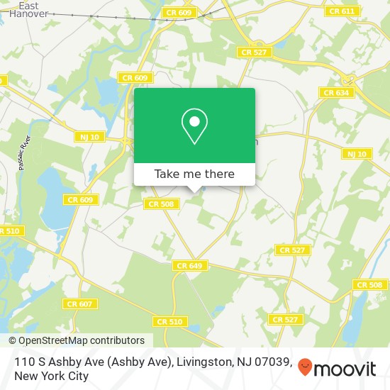 Mapa de 110 S Ashby Ave (Ashby Ave), Livingston, NJ 07039