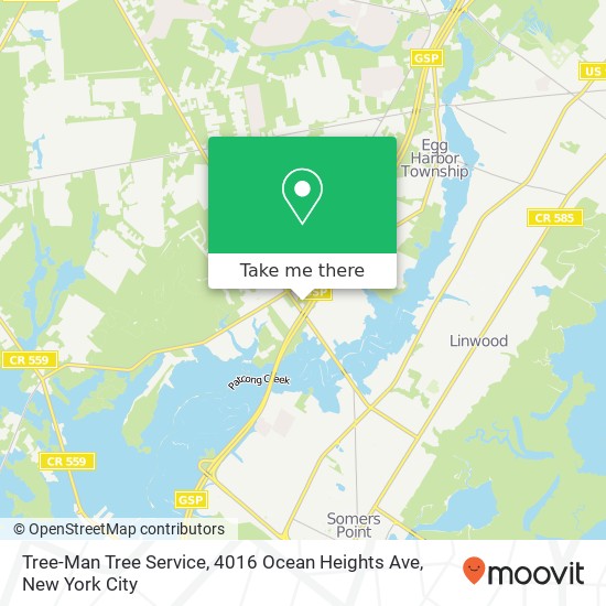 Mapa de Tree-Man Tree Service, 4016 Ocean Heights Ave