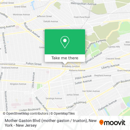 Mother Gaston Blvd (mother gaston / truxton) map