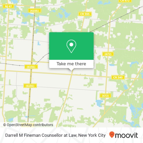 Darrell M Fineman Counsellor at Law, 100 N Main Rd map