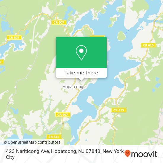 423 Nariticong Ave, Hopatcong, NJ 07843 map