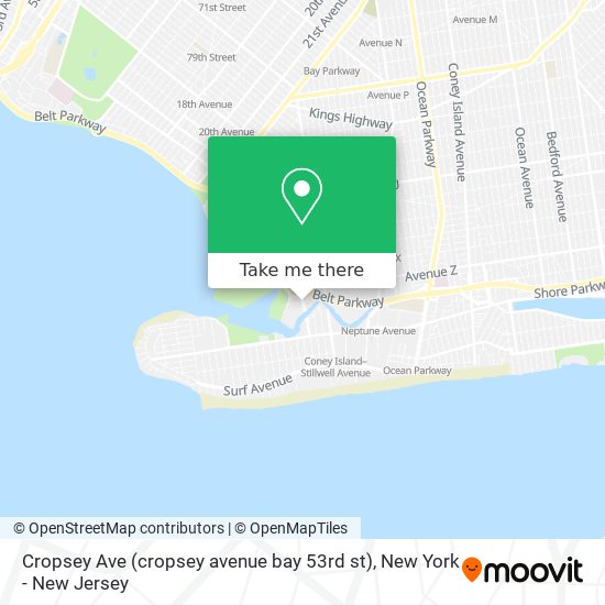 Cropsey Ave (cropsey avenue bay 53rd st) map