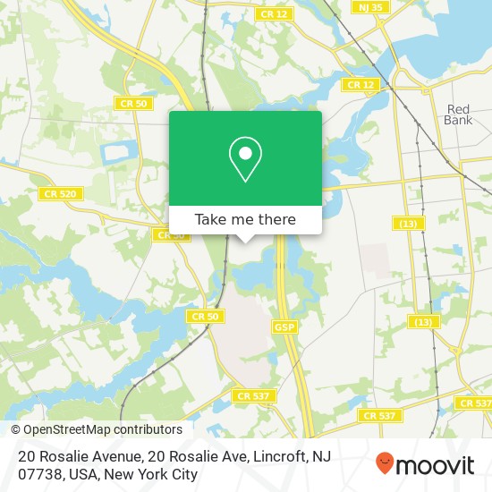 Mapa de 20 Rosalie Avenue, 20 Rosalie Ave, Lincroft, NJ 07738, USA