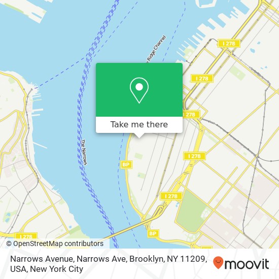 Narrows Avenue, Narrows Ave, Brooklyn, NY 11209, USA map