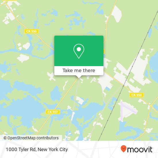 Mapa de 1000 Tyler Rd, Woodbine, NJ 08270